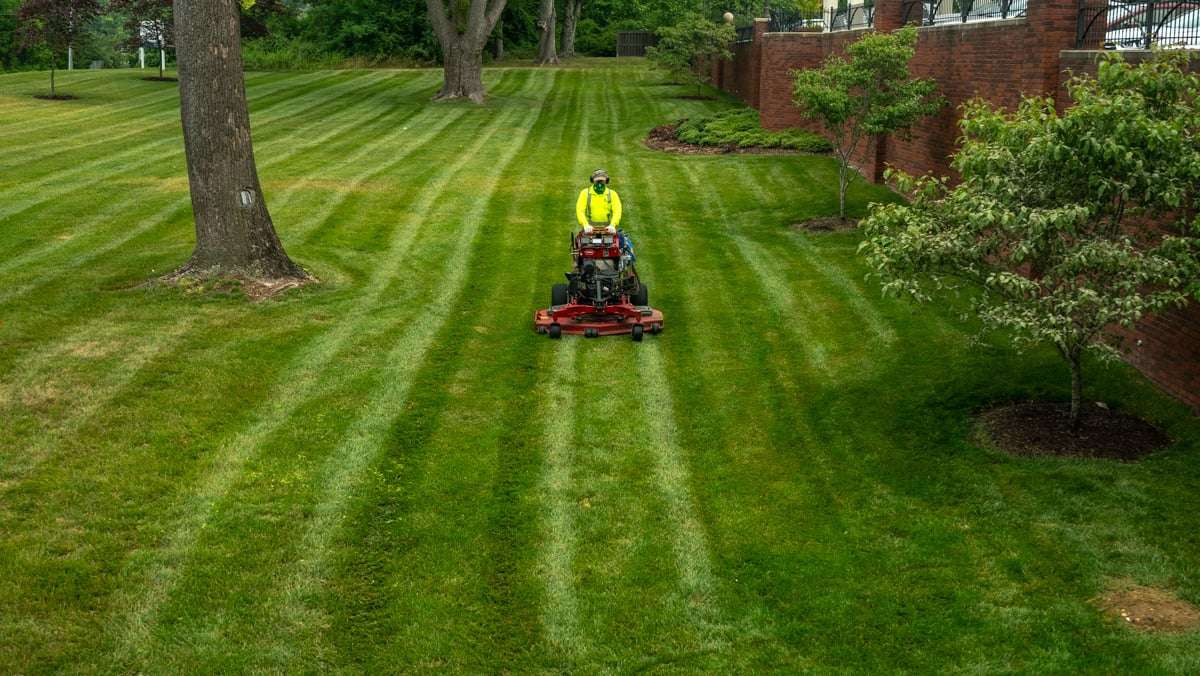 Healthy landscaped lawn